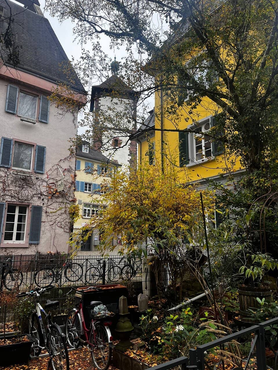 Charming Riverside Ambiance