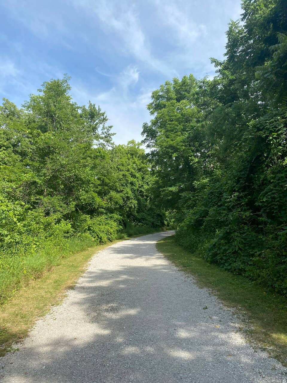 Highfield Discovery Garden