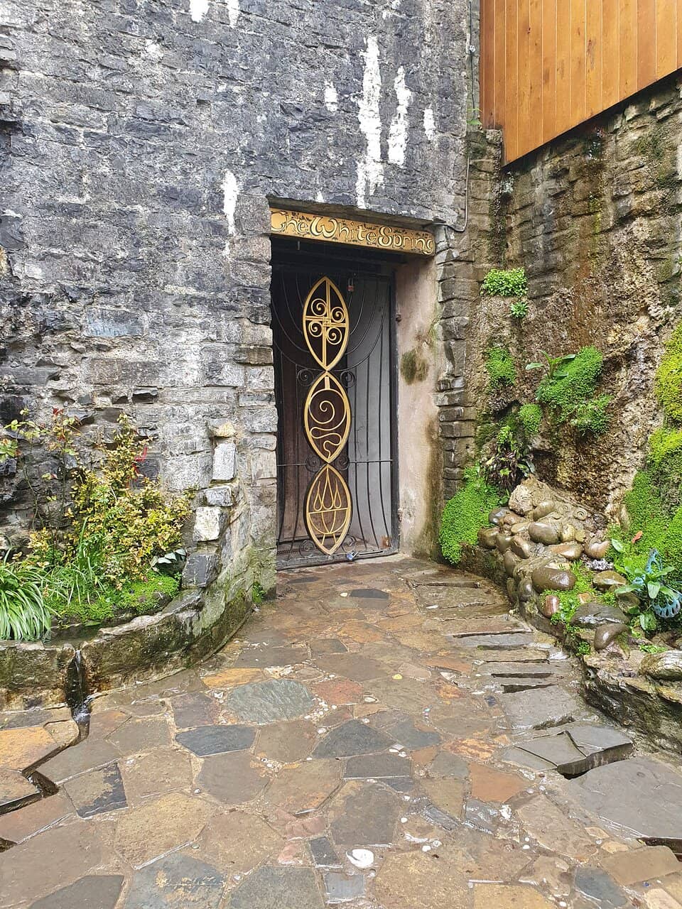 Vertical photo