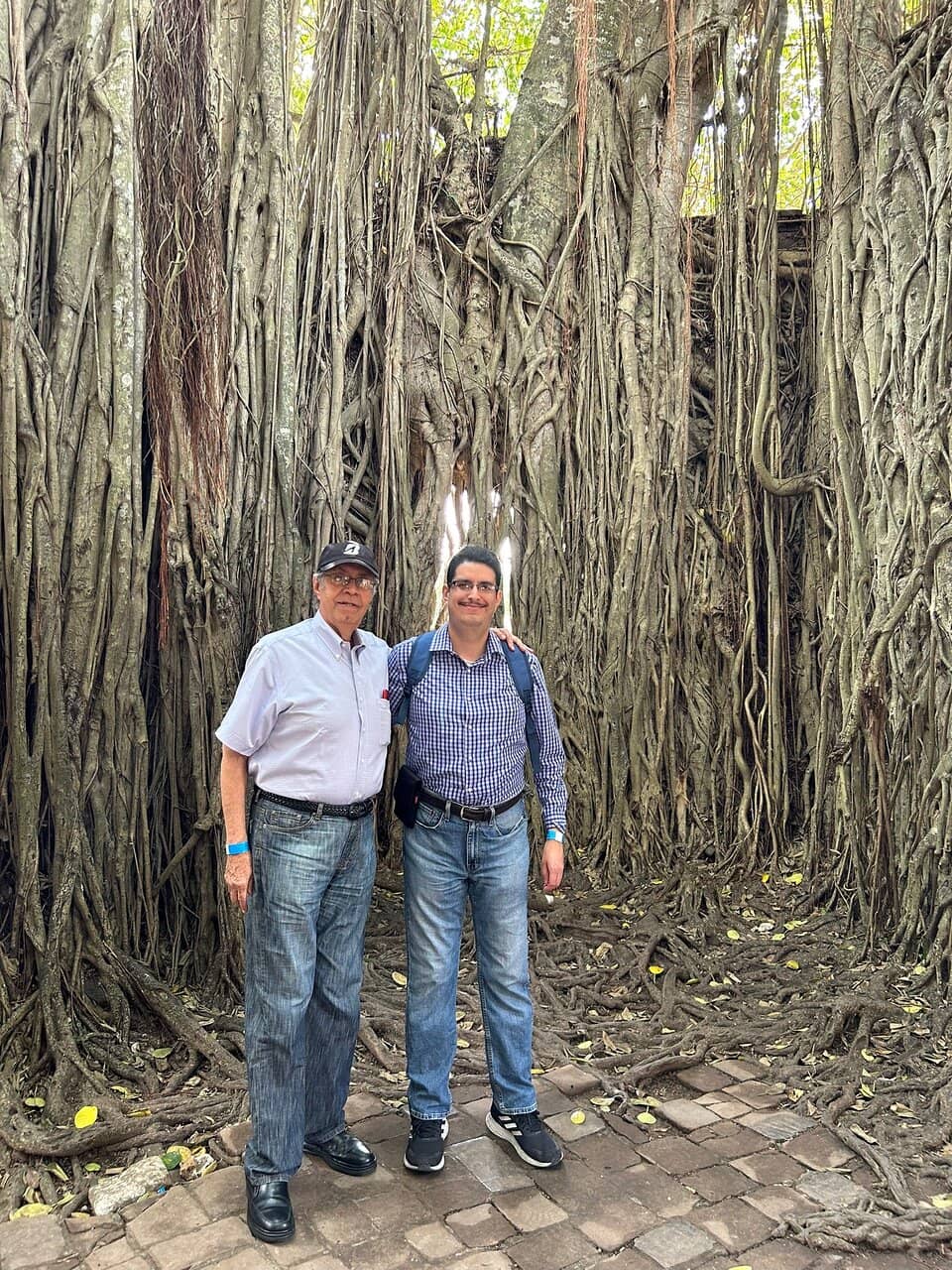 Roots of History