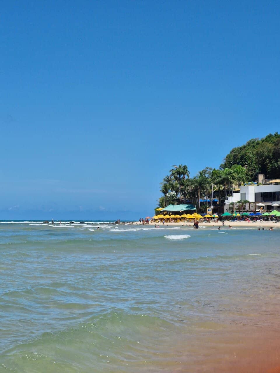 Vibrant Beachfront Avenue