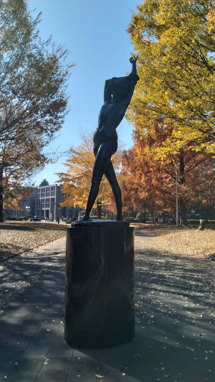 Children's Play Area