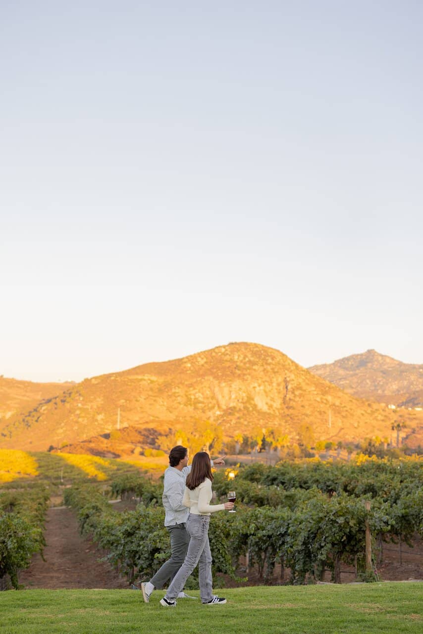 Vineyard Views