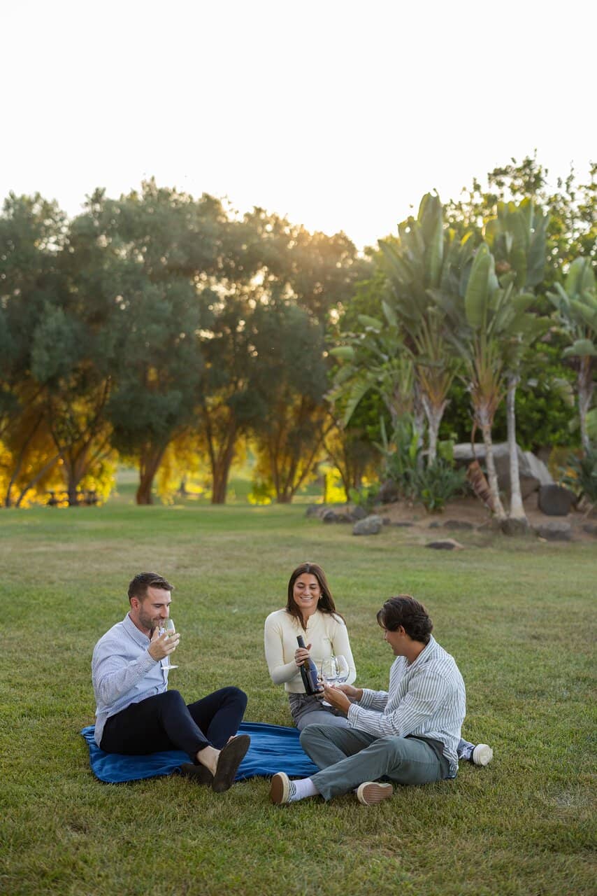 Dinner in the Vines