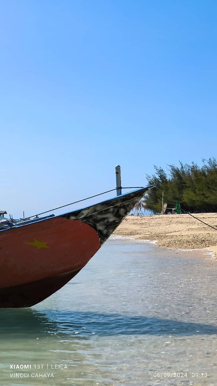 Vibrant Snorkeling & Diving