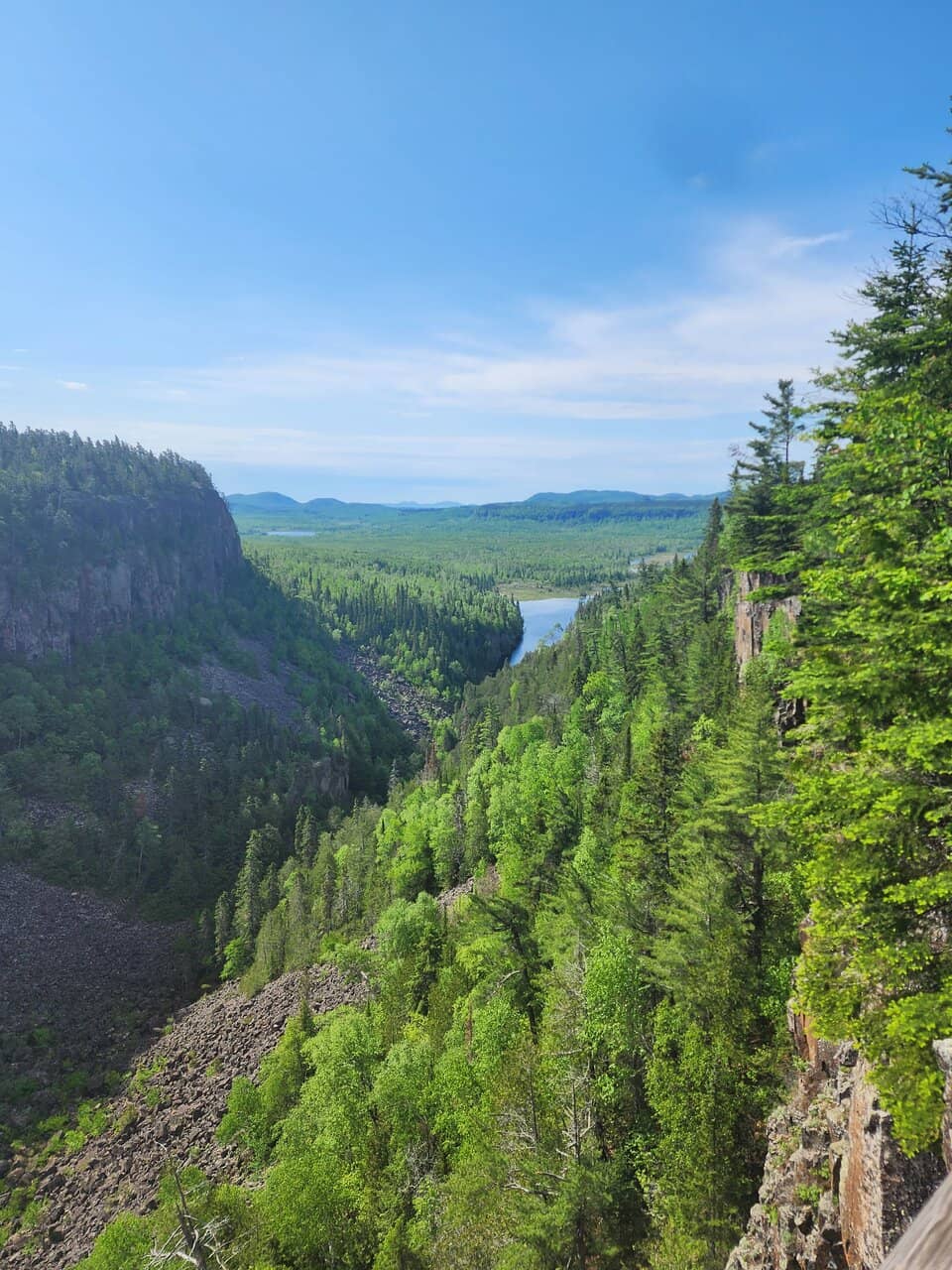 Suspension Bridge Views