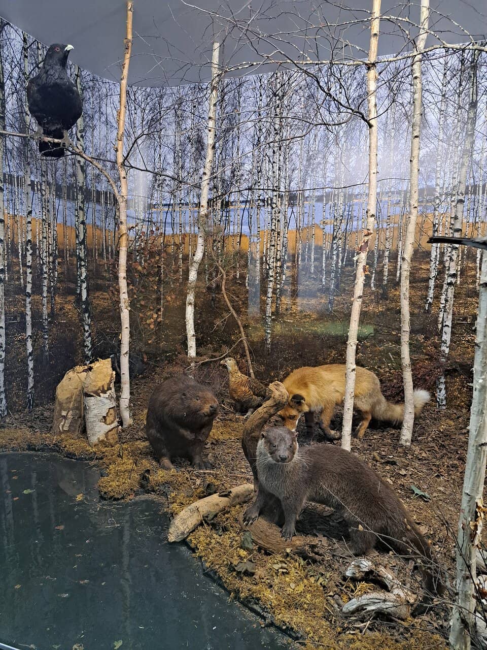 Mammoth Encounters