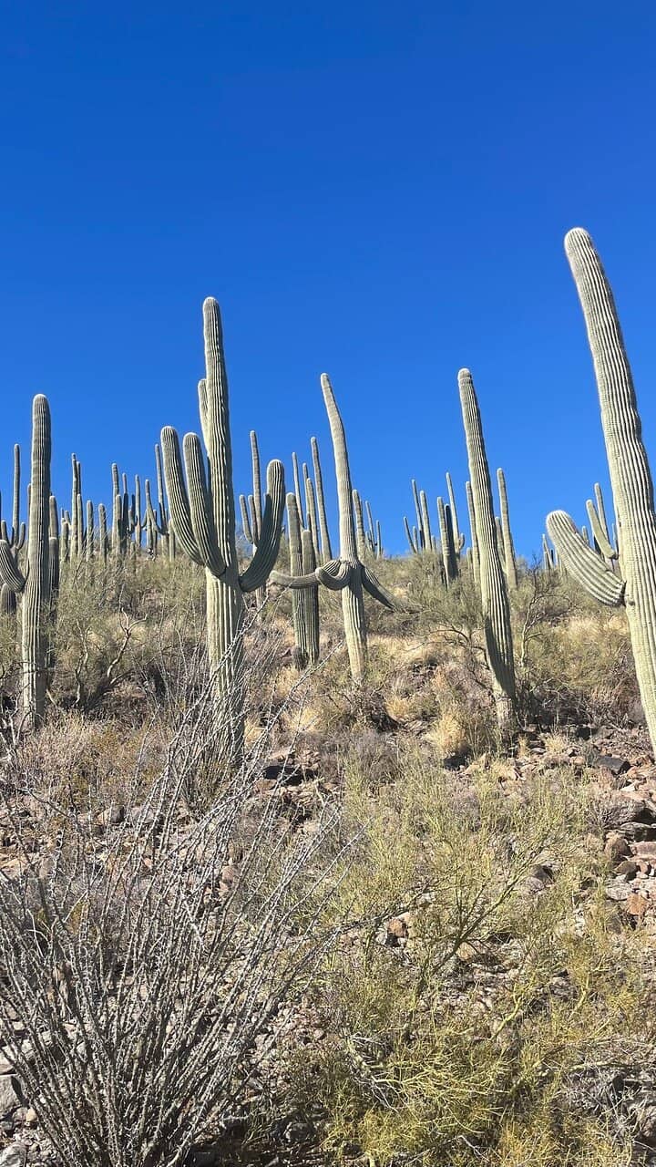 The Challenging Paved Path