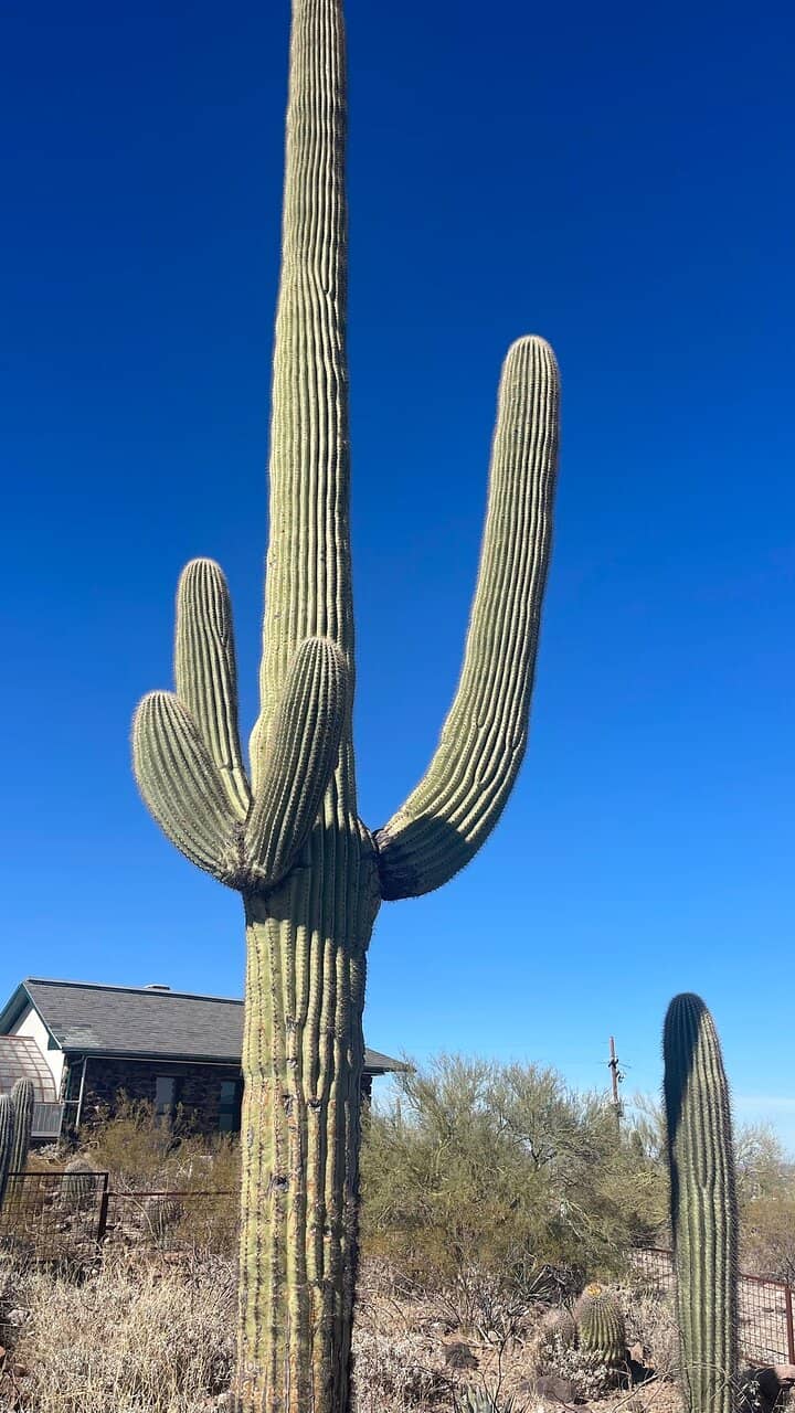 Panoramic Tucson Views