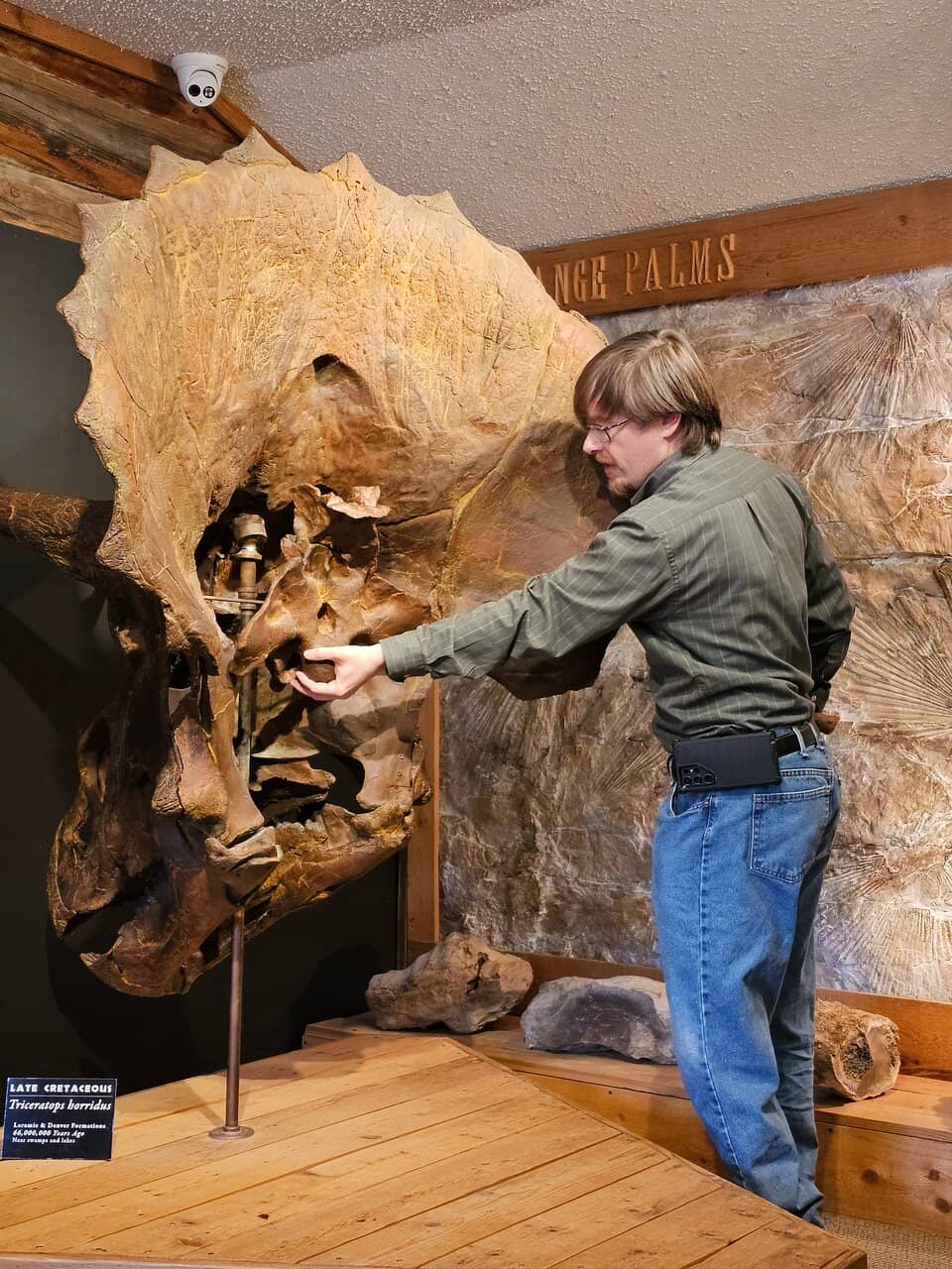 Interactive Fossil Dig