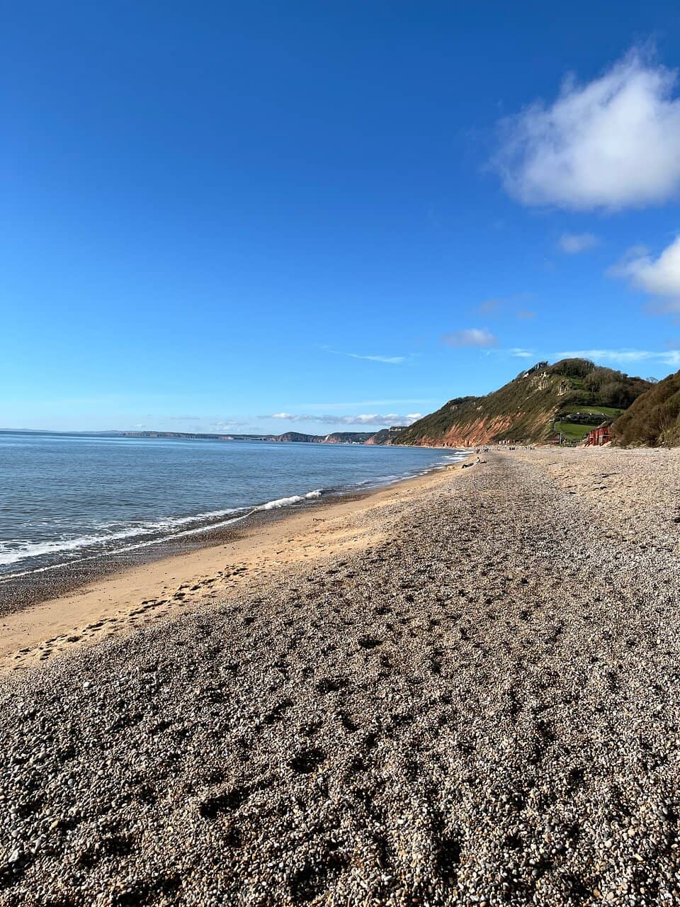 Jurassic Saunas Experience