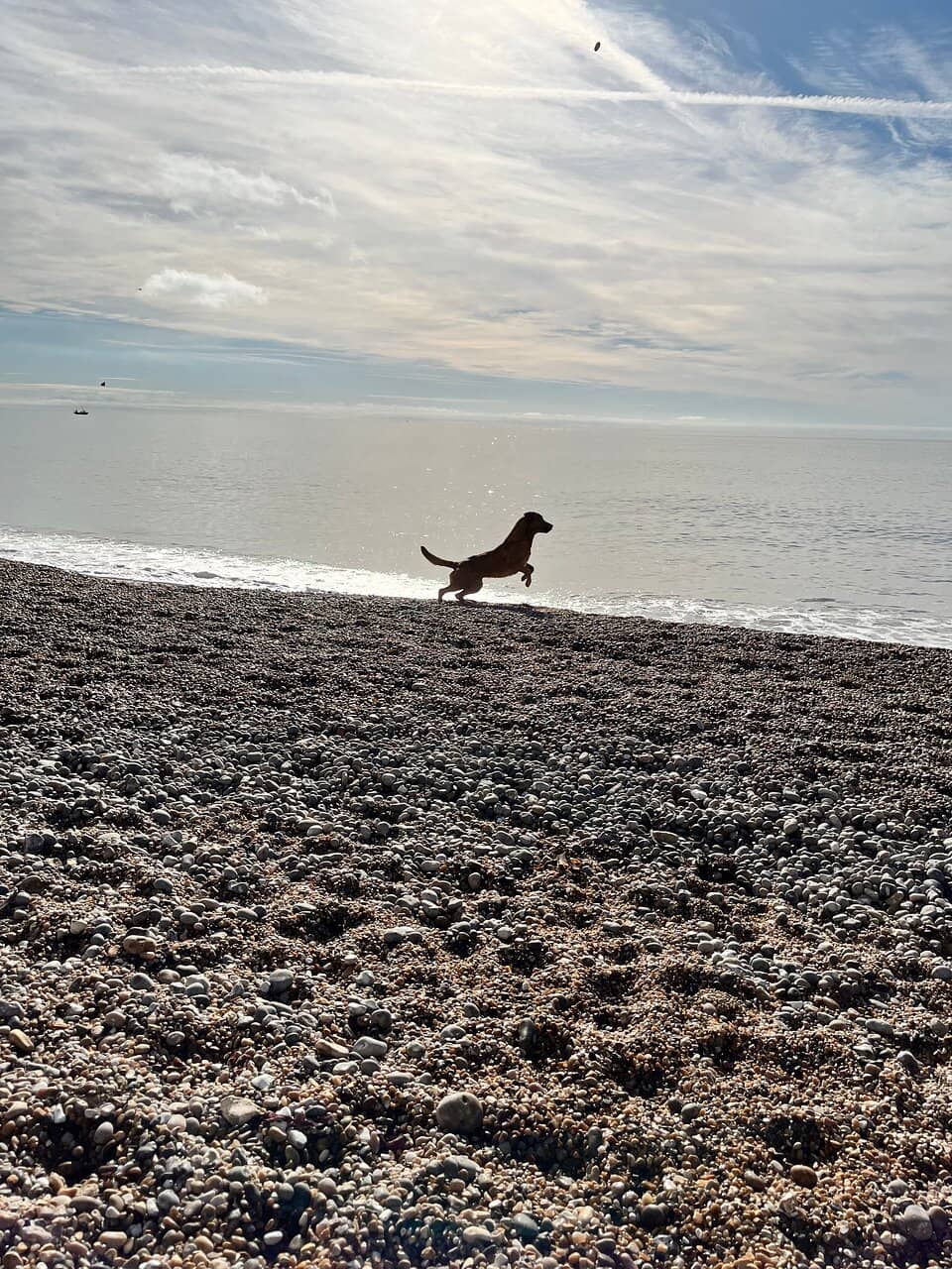 Wild Swimming Adventures