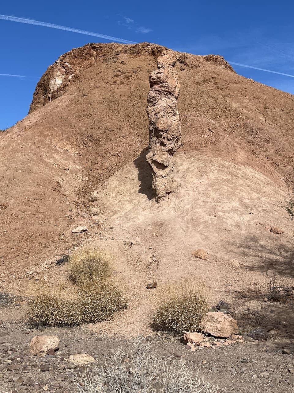 Colorado River Waterfowl