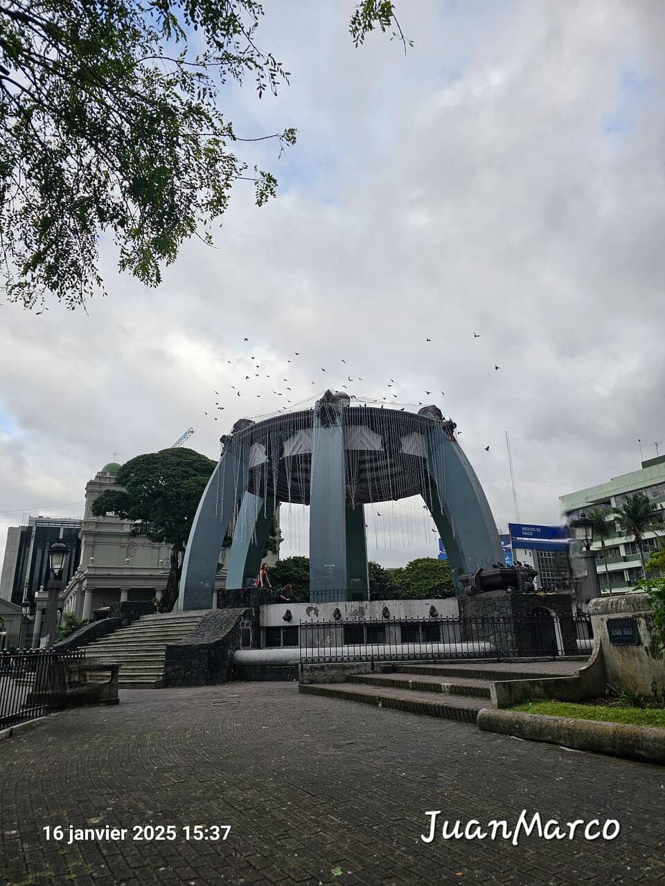 Vertical photo