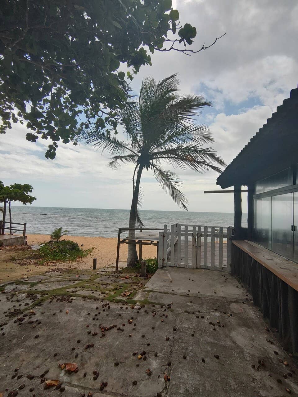 Vibrant Beach Restaurants