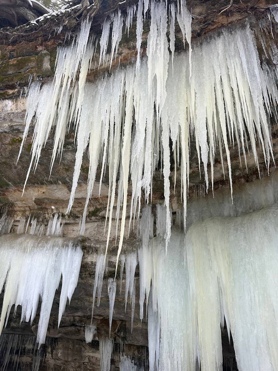 Tannin-Colored Ice