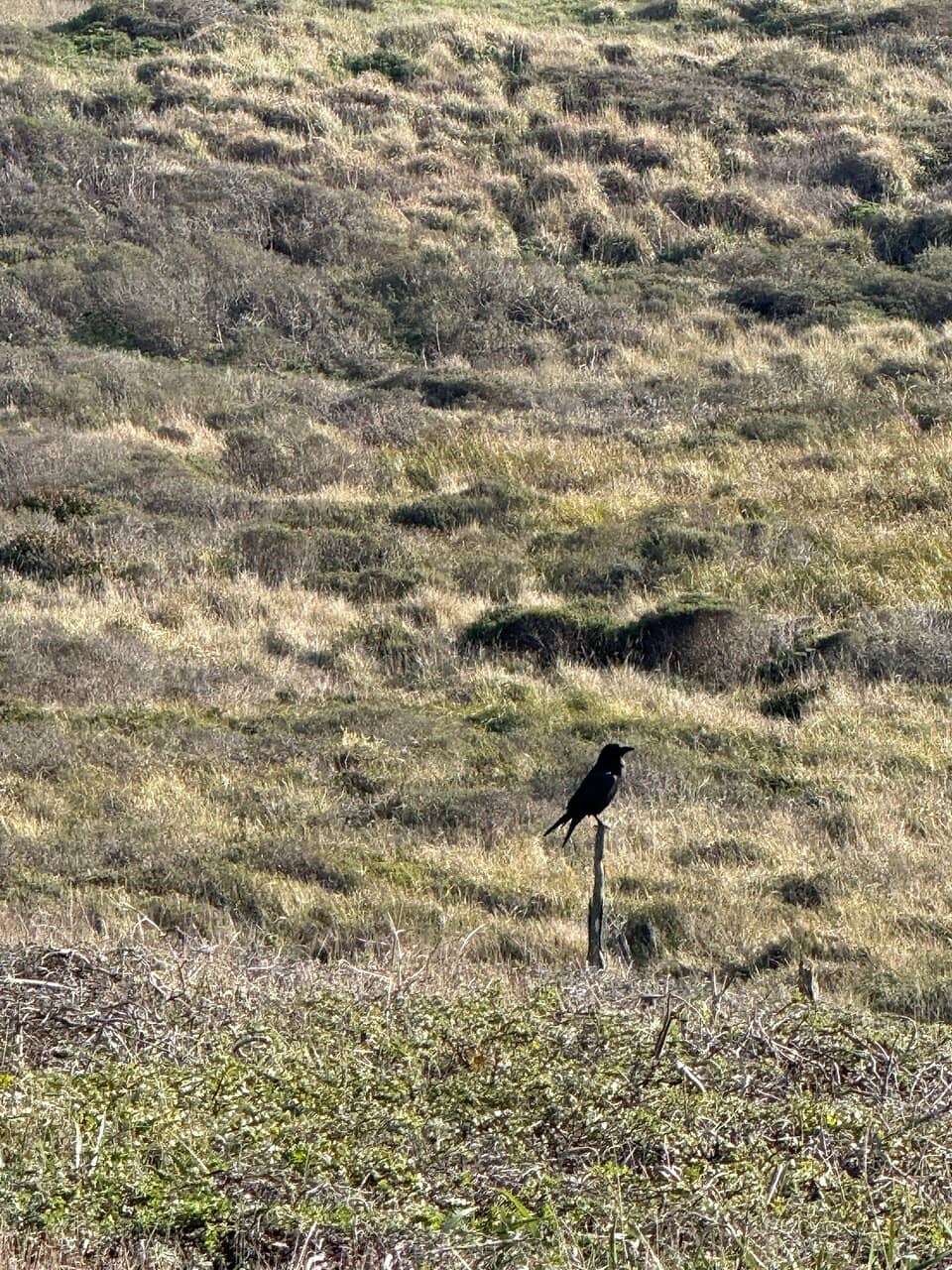 Doran Regional Park