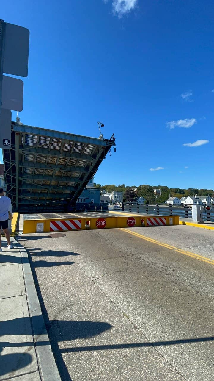 The Bascule Mechanism