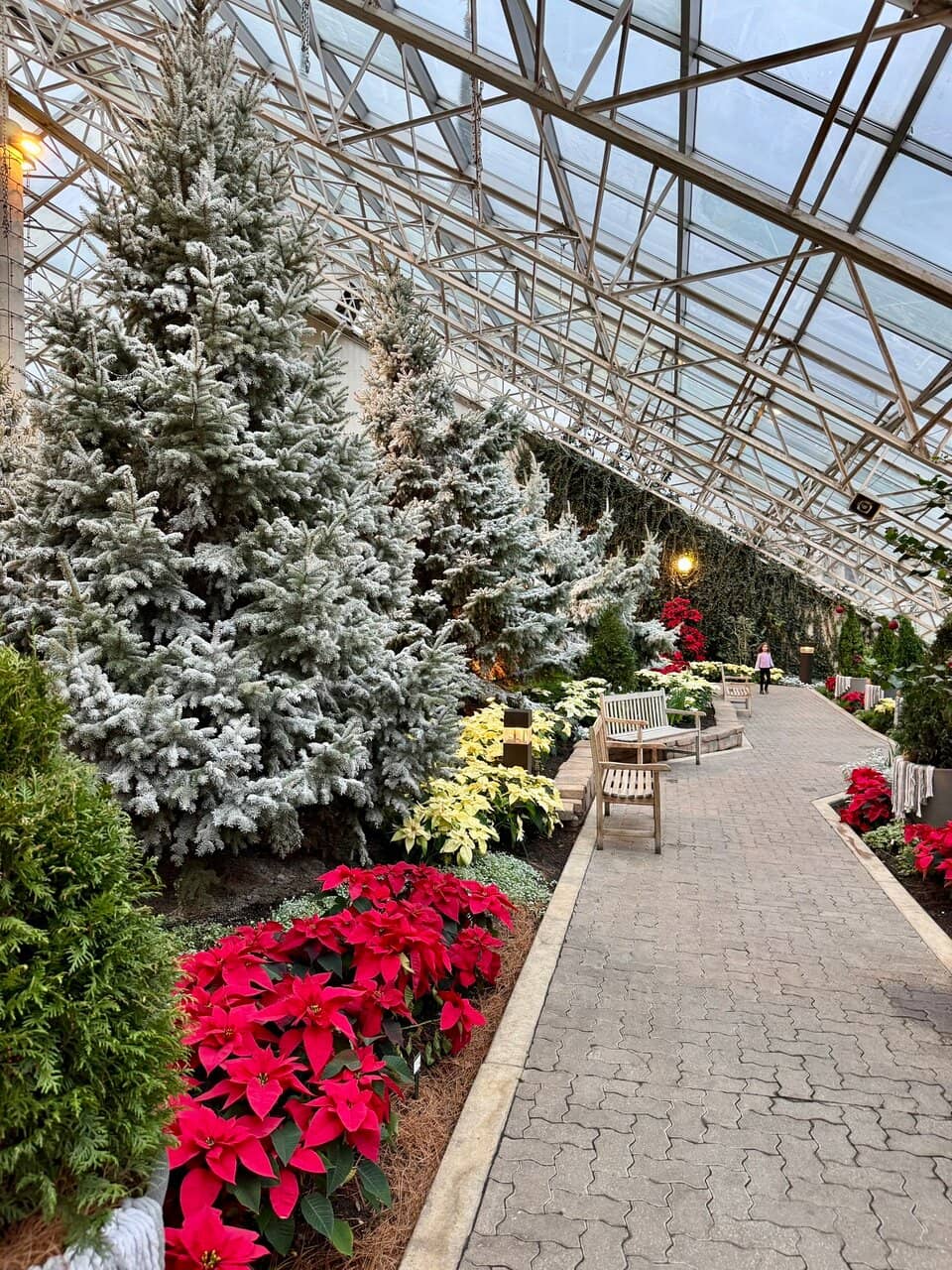 Tropical Garden