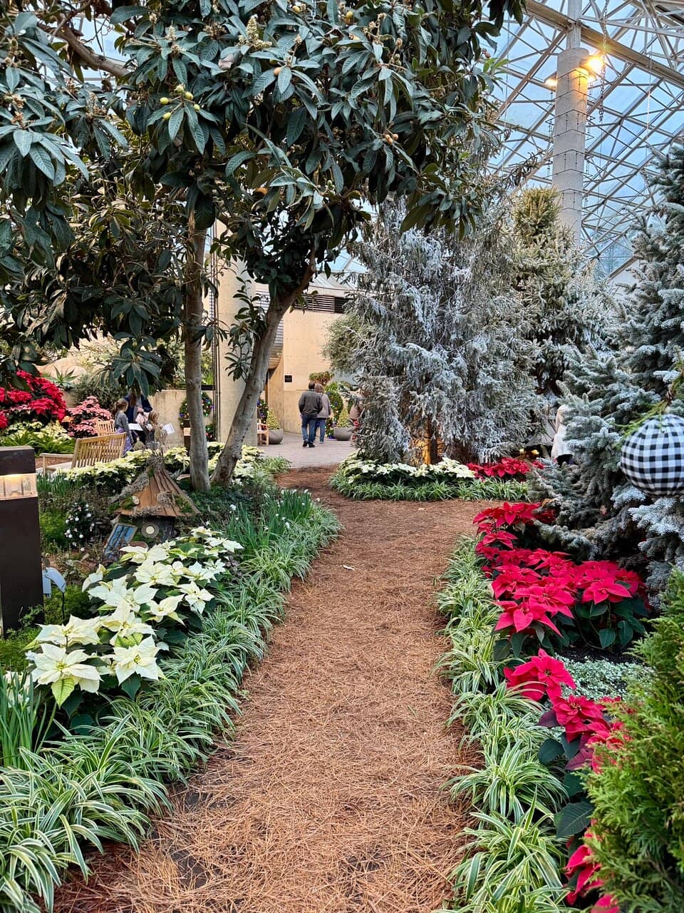Desert Garden