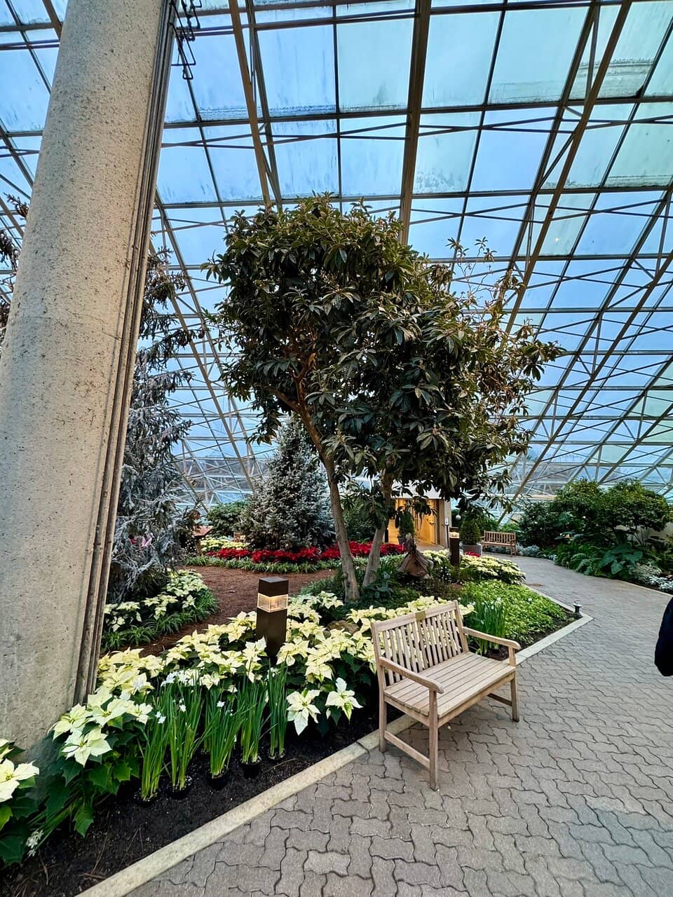 Live Butterfly Exhibit
