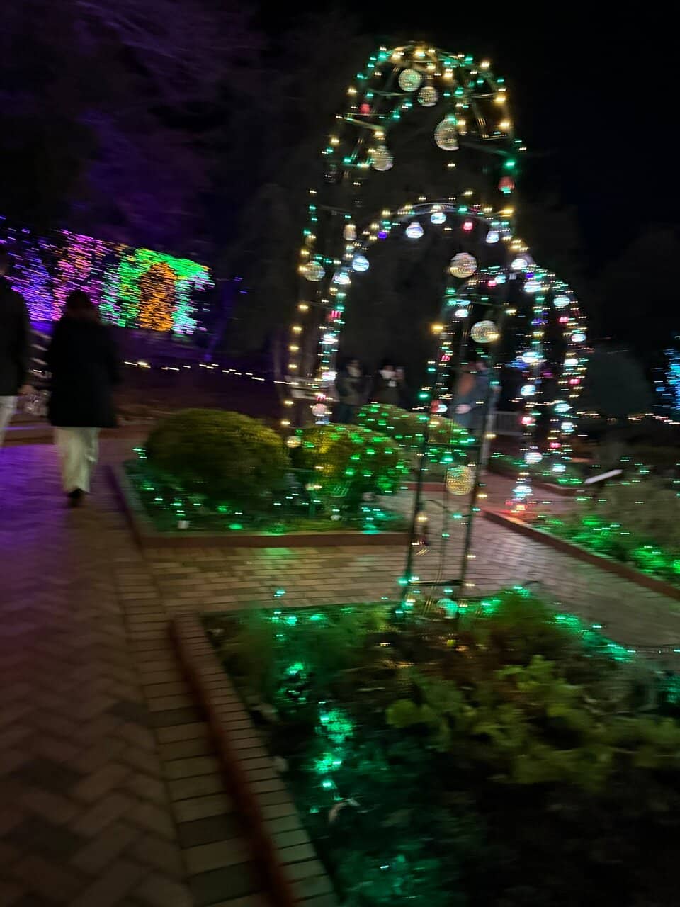 Butterfly Garden
