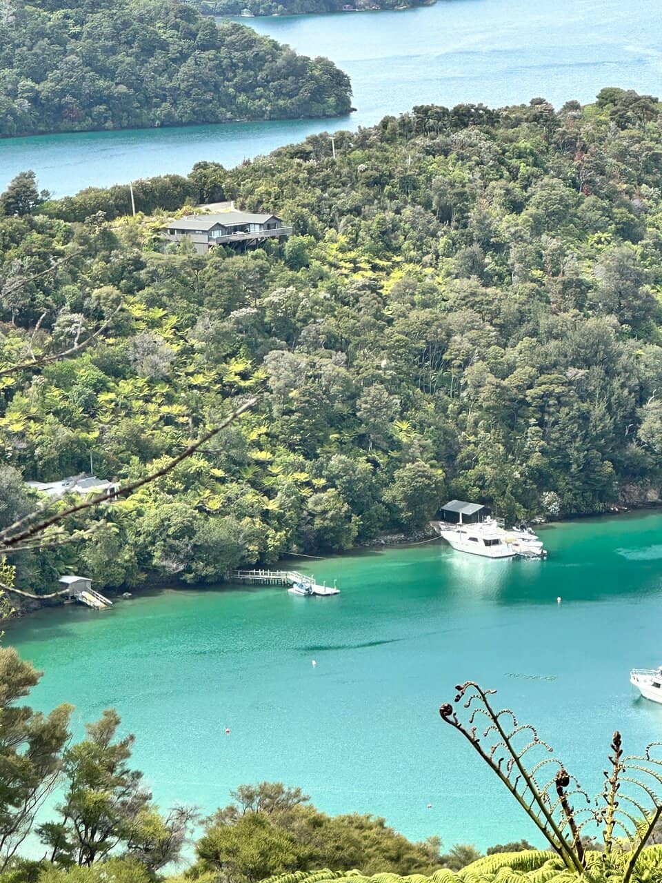 Mountain Bike Trails