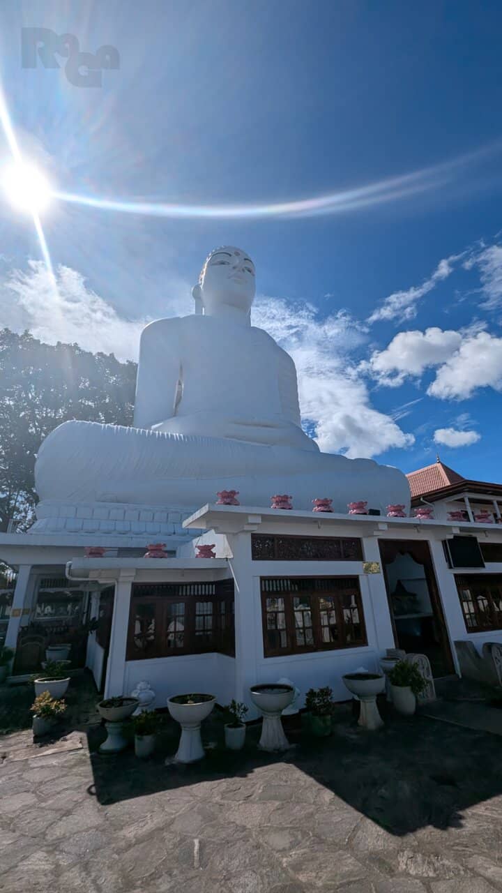 Giant Buddha Statue