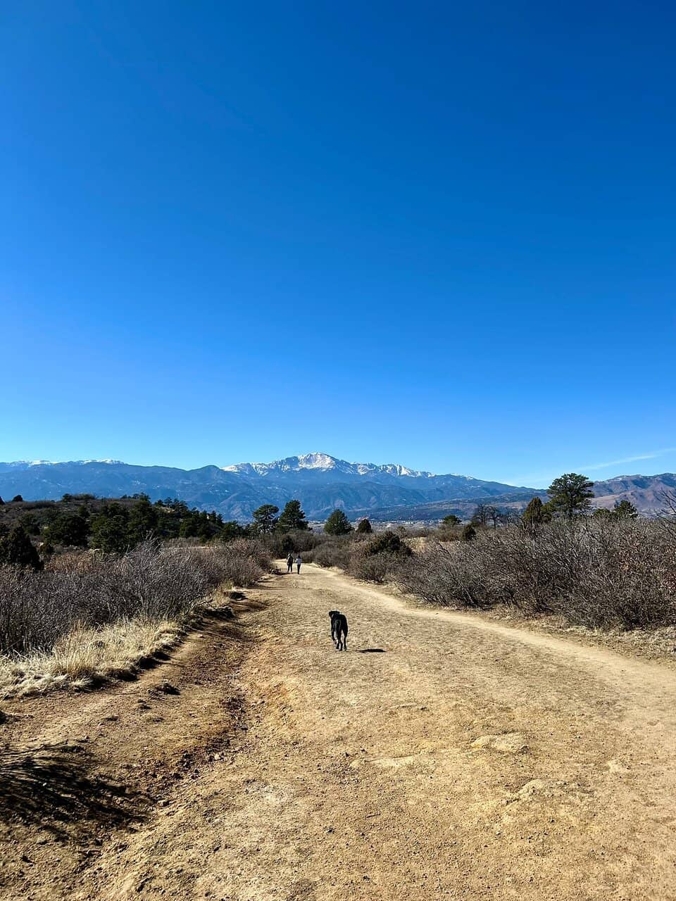 Spacious Sports Fields