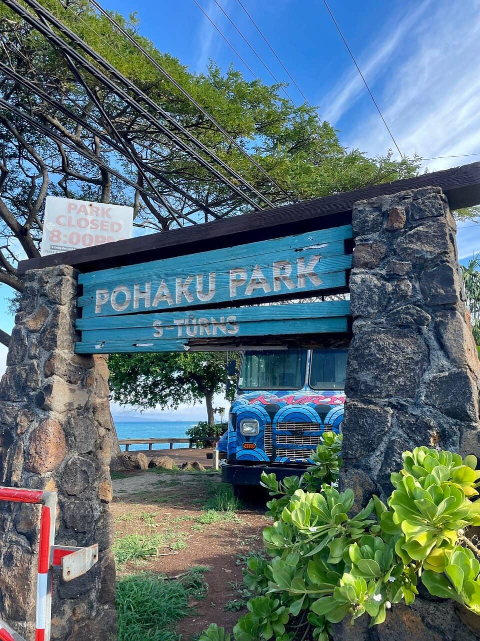Honu Haven