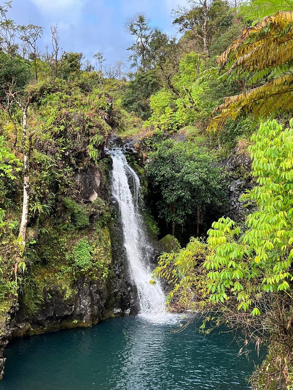 Vertical photo