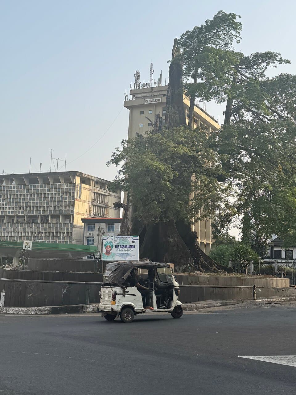 Cotton Tree Site