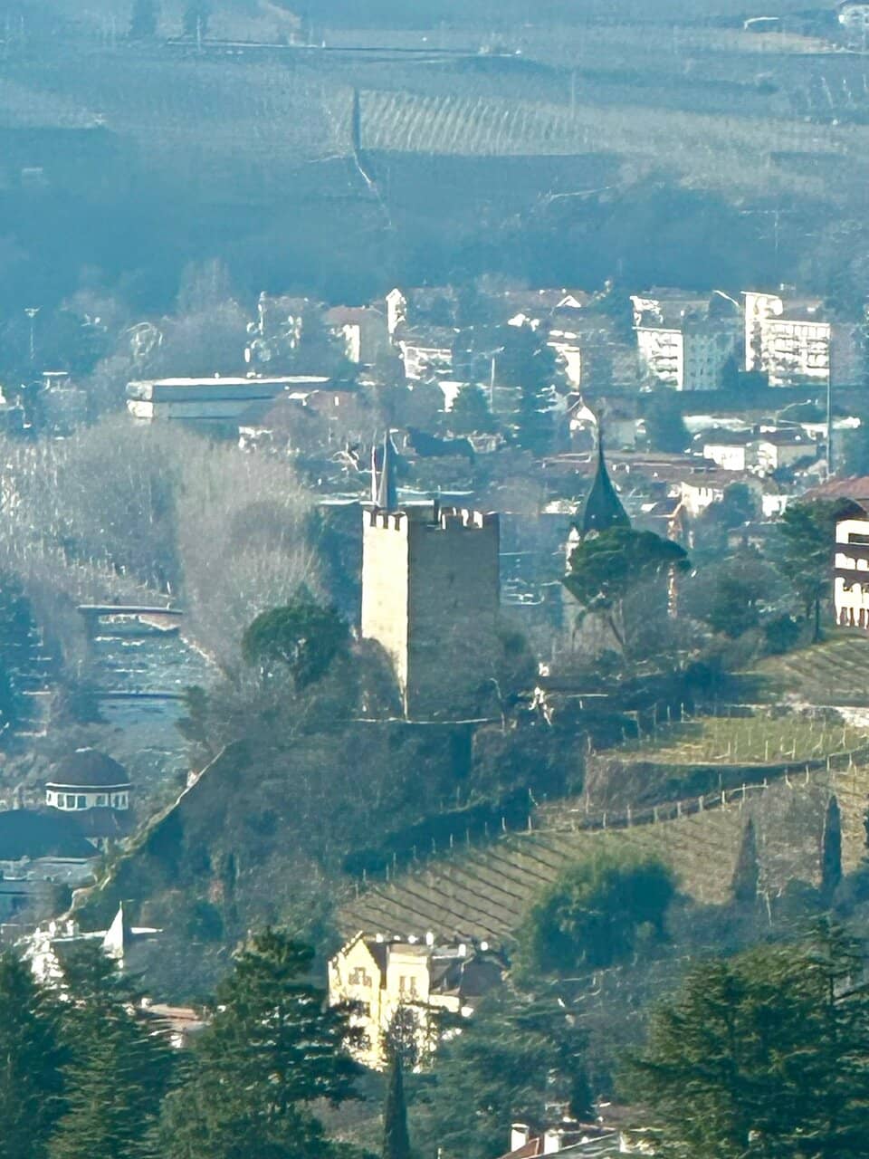 Vertical photo