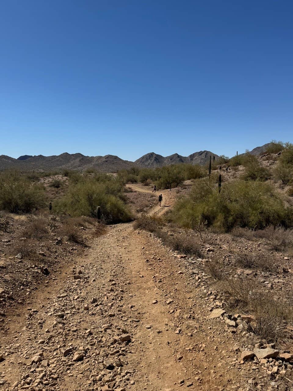 San Tan Trail