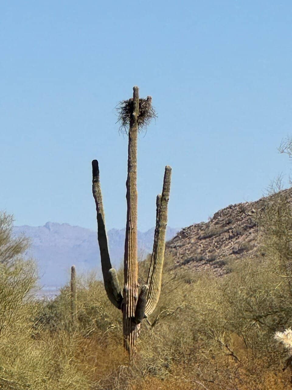Nature Center & Wildlife Exhibits