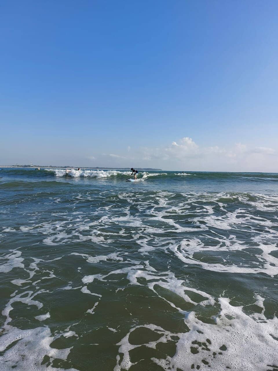 Authentic Wood-Fired Pizza