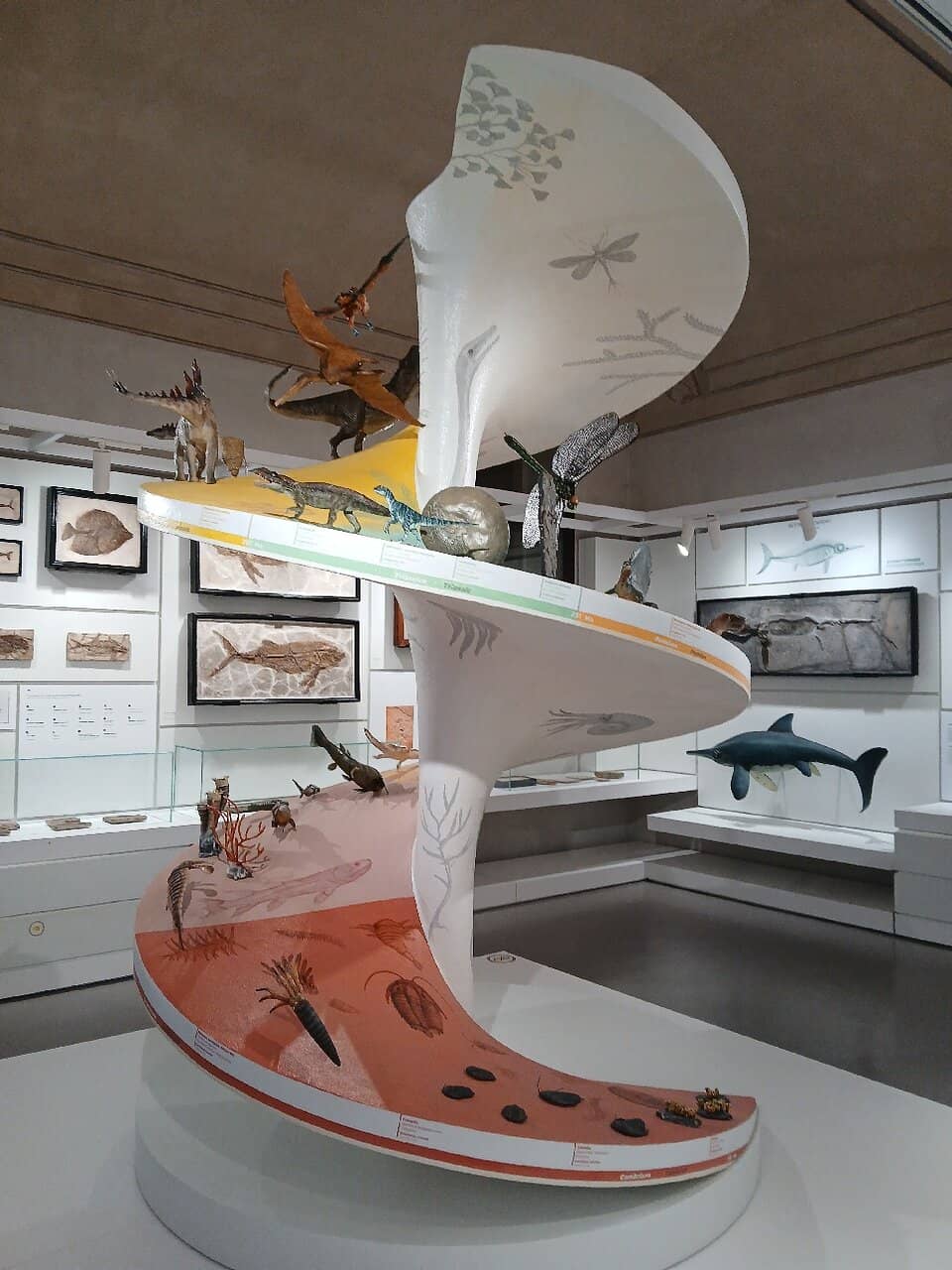 Evolutionary Journey