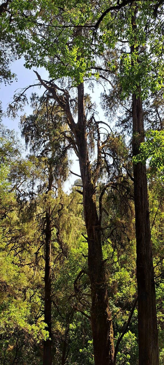 Moru Campsite Experience