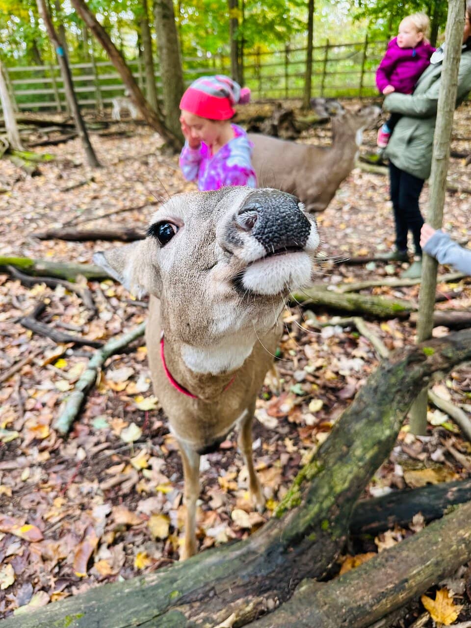 Gem Mining Adventure