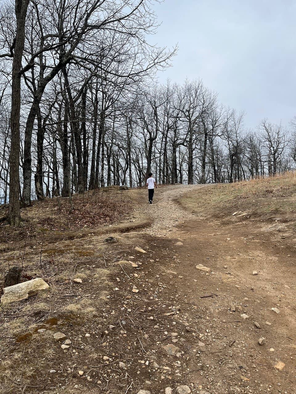 Summit Bald Clearing