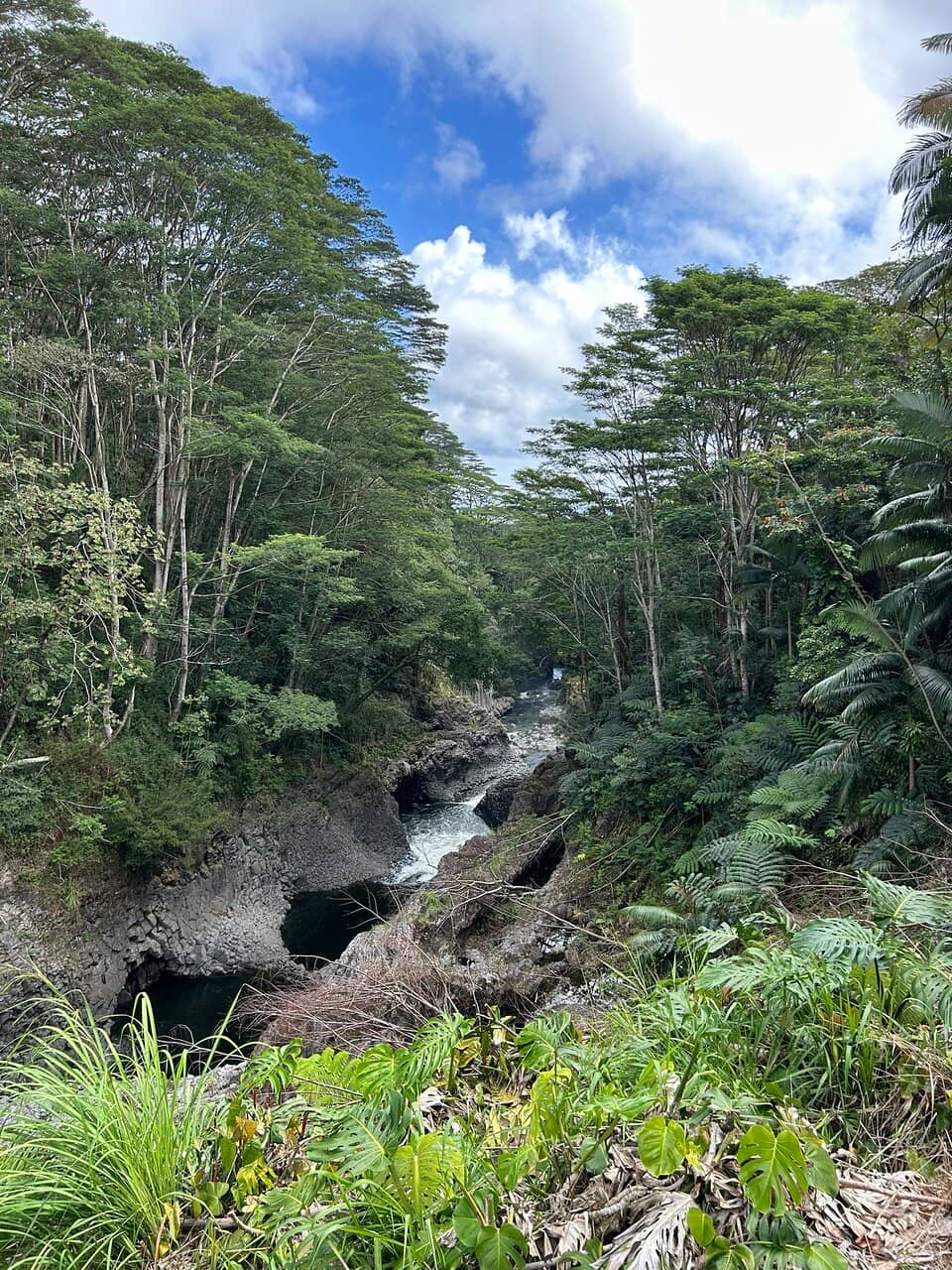 The 'Boiling' River