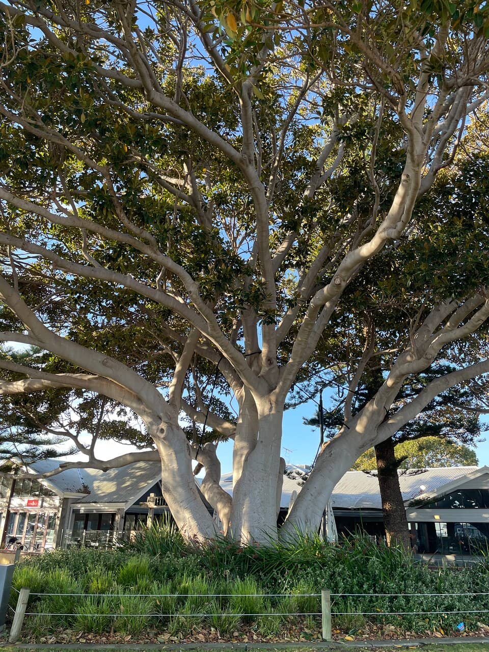 Busselton Jetty