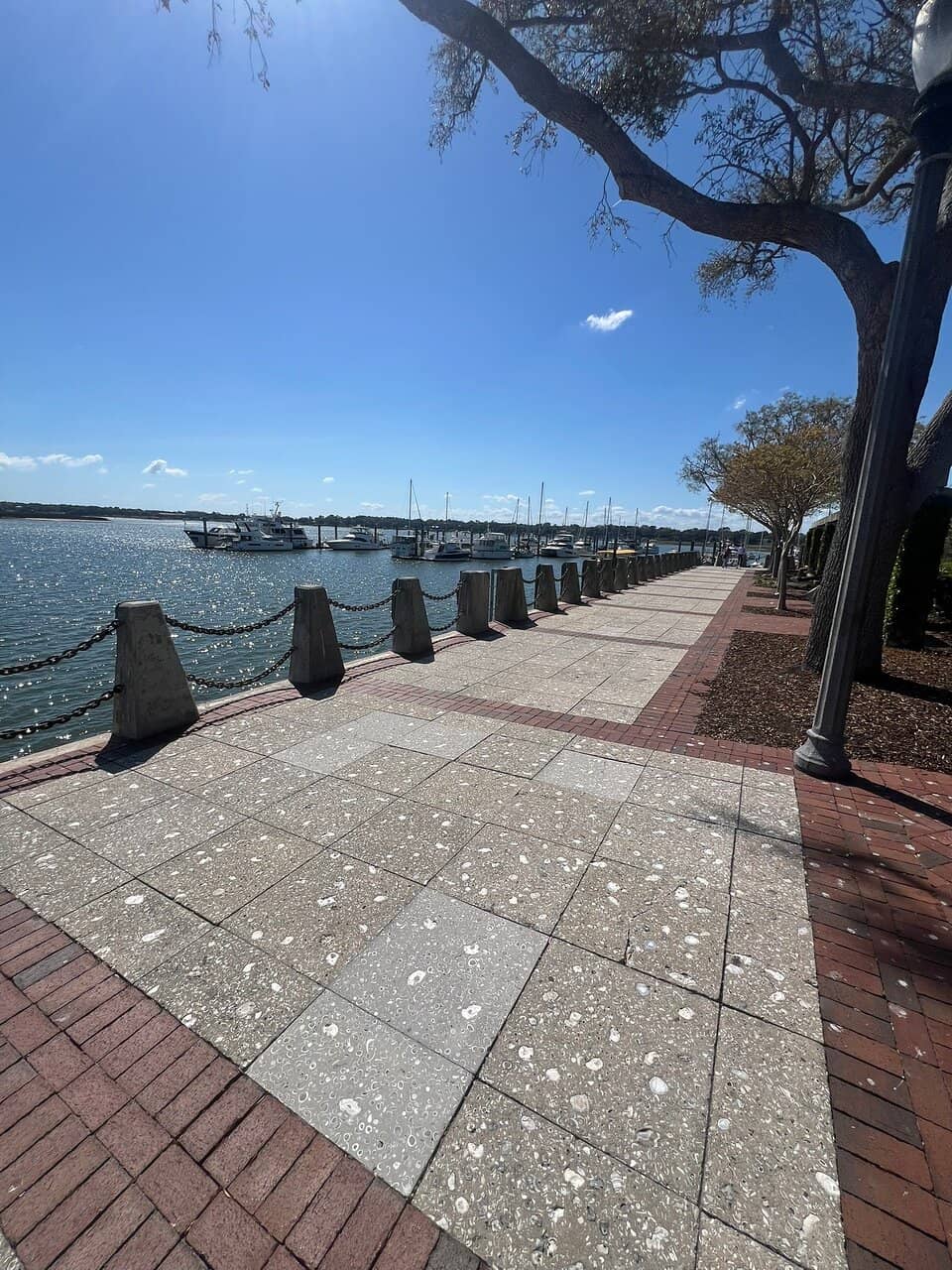 Waterfront Swings