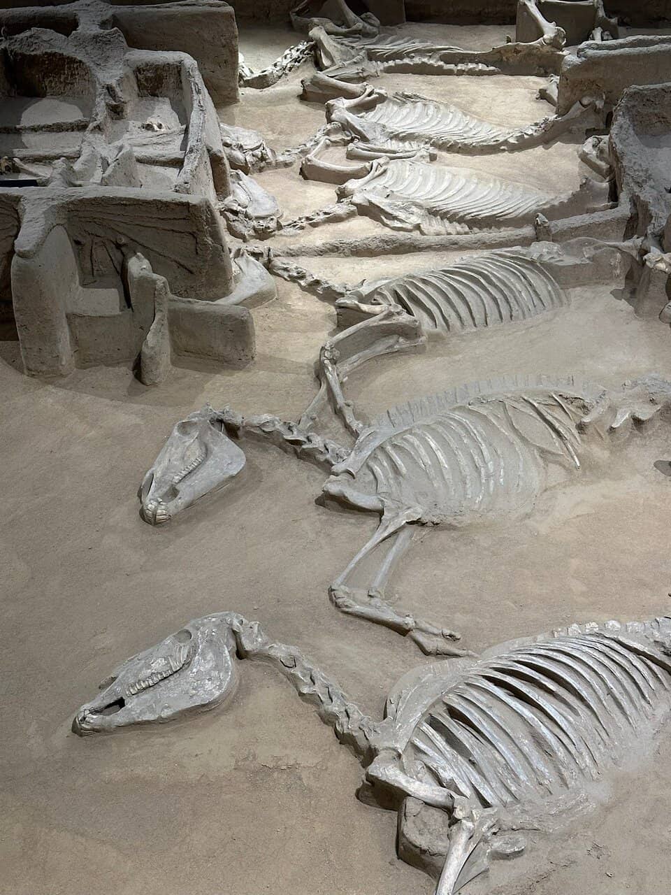 Emperor's Six-Horse Chariot