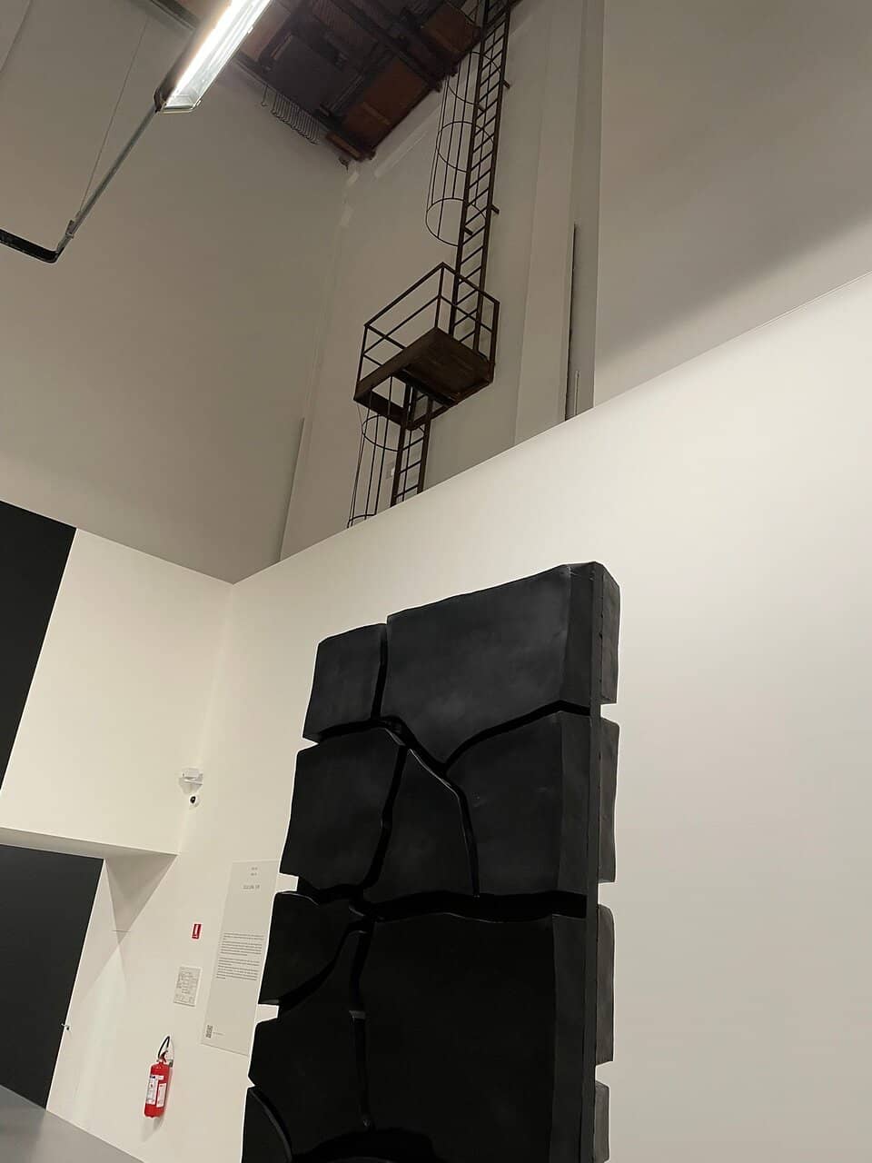 Graphic Art and Multimedia