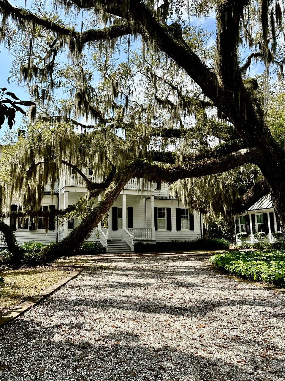 Historic Homes of Beaufort
