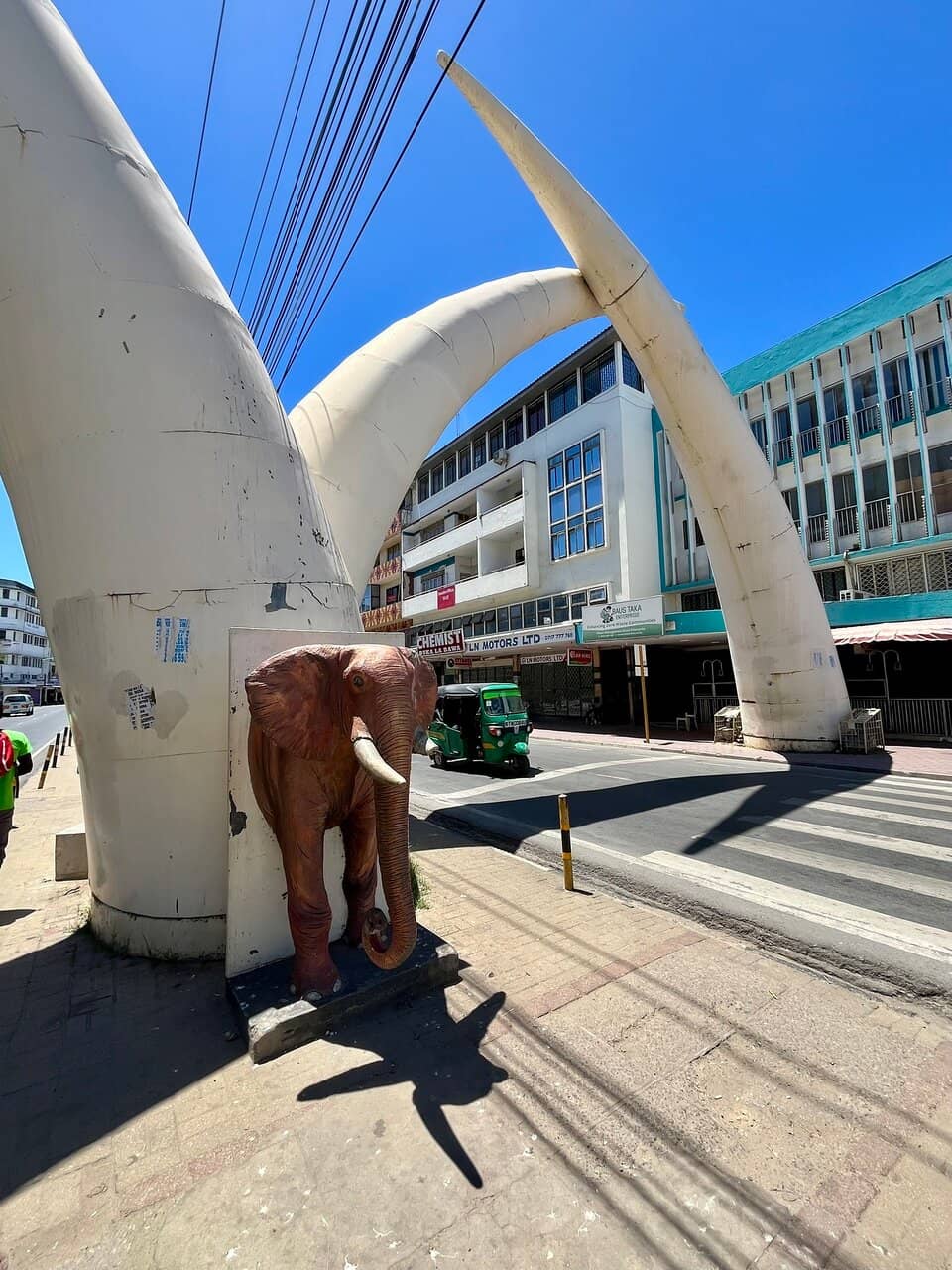 The Iconic 'M' Tusks