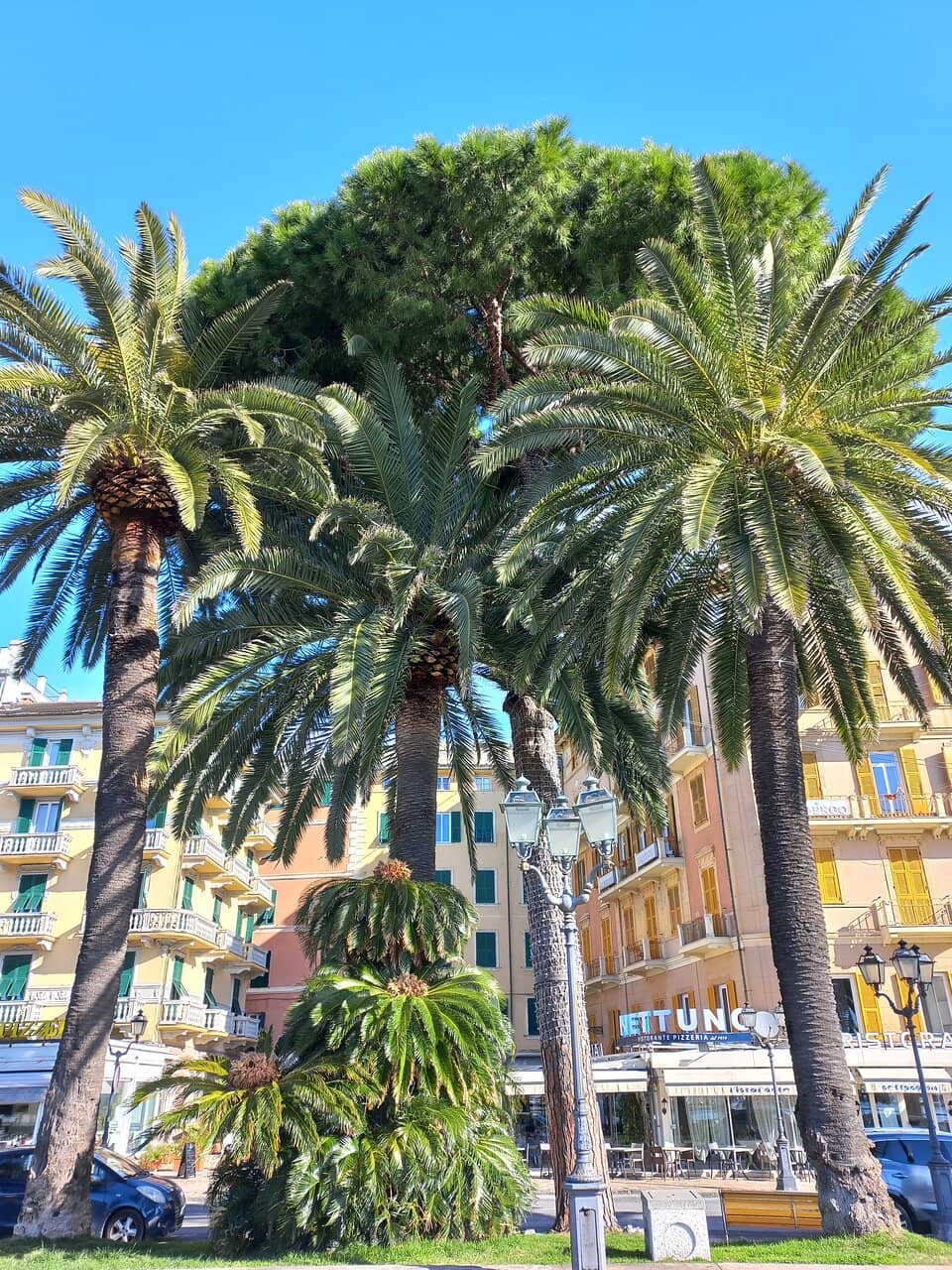 Vertical photo