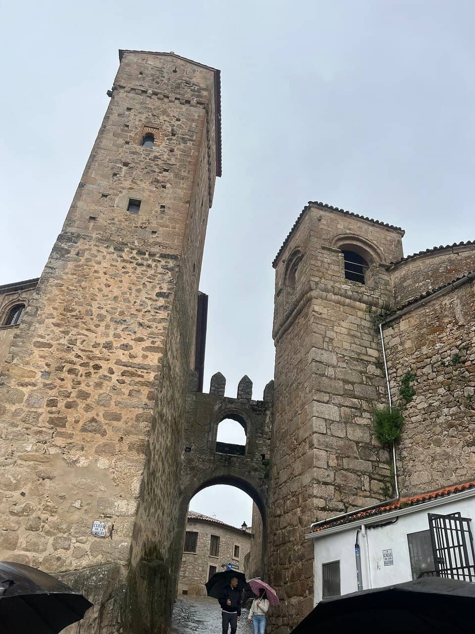 Vertical photo