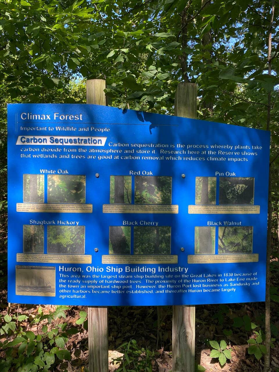 Nature Center Exhibits